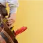 Handyman repair service in Denver, CO for home fixes and improvements