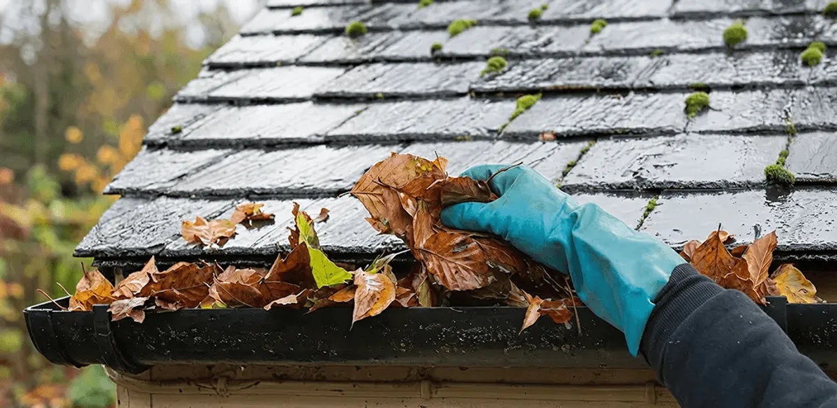 Gutter cleaning technician clearing wet leaves from roof gutters in Denver, CO